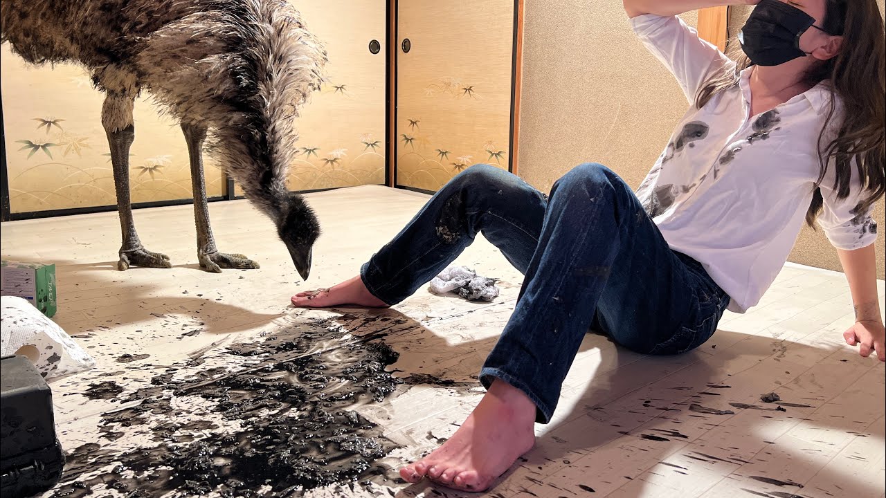 【悲劇】エミューを室内飼いするとこうなります