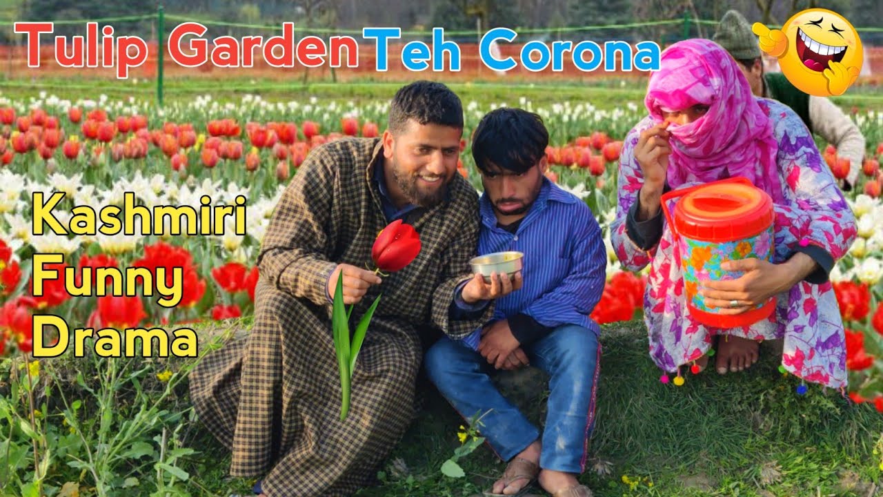 Tulip Garden Teh Corona  Kashmiri Funny Drama