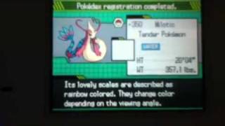 Wild Milotic in Pokemon Black and white!