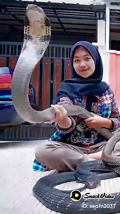 ladies pawang ular KC, jangan ditiru ya adik adik hanya untuk yang sudah profesional #education