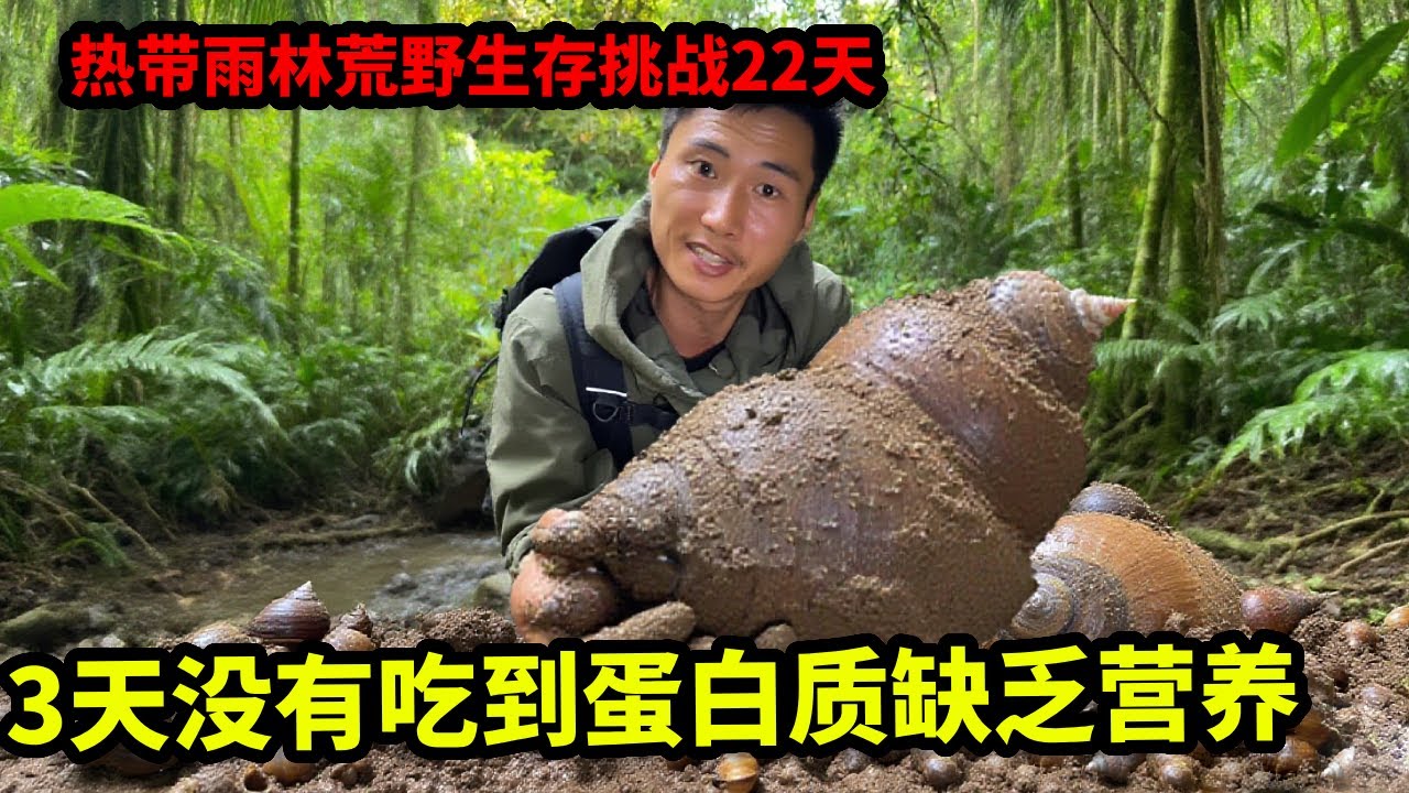热带雨林荒野生存挑战22天：3天没有吃到蛋白质缺乏营养，从白天找到黑夜总算找到肉，还享受到儿时的快乐【户外平头哥】