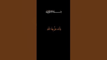 سورة البلد - القارئ الشيخ حسام المنشداوي