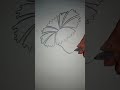 How to draw hibiscus flower easy  soujuz drawing