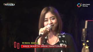 TEMAN BIASA - NEW PANTURA Live Mejeruk Tegalrejo Widang Tuban 2019