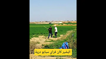 البشير كان قراي سبابو درية وكلاتو هو يفركل 