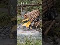 Bridge Collapse Under Massive Log Truck – Caught on Camera! #truck #shorts #viral