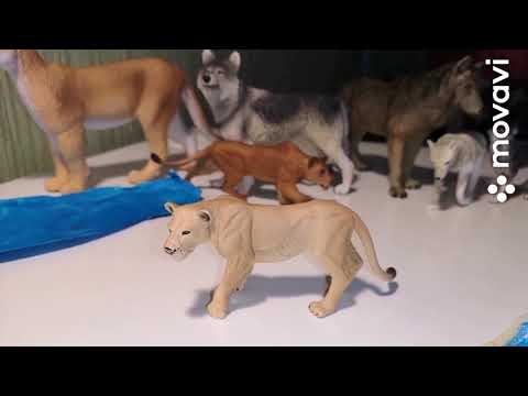 Vídeo: Com Criar Terriers De Joguina