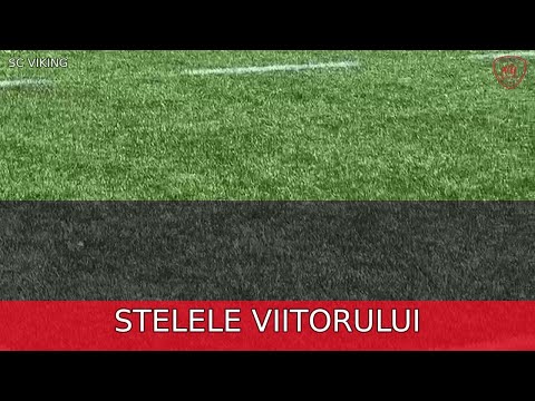 Stelele Viitorului Cup