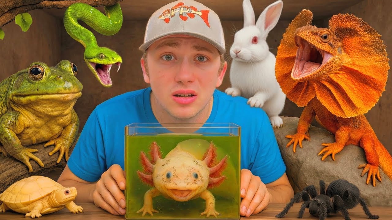 Kolik zvířat jsem už letos zachránil