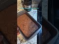 Baking gone wrong🤣🤣 #fail #baking #fyp #funny #foryou
