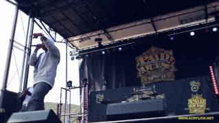 Paid Dues 2013 | Acrylick