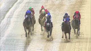 Race 4 Master 2026/05/21
