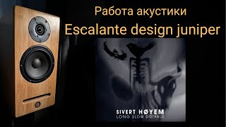 Демонстрация работы акустики Escalante design juniper музыка Sivert Høyem - Blown Away