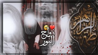 حالات واتس اب زواج الامام علي وفاطمه باسم الكربلائي/ستوريات انستا زواج النور✨