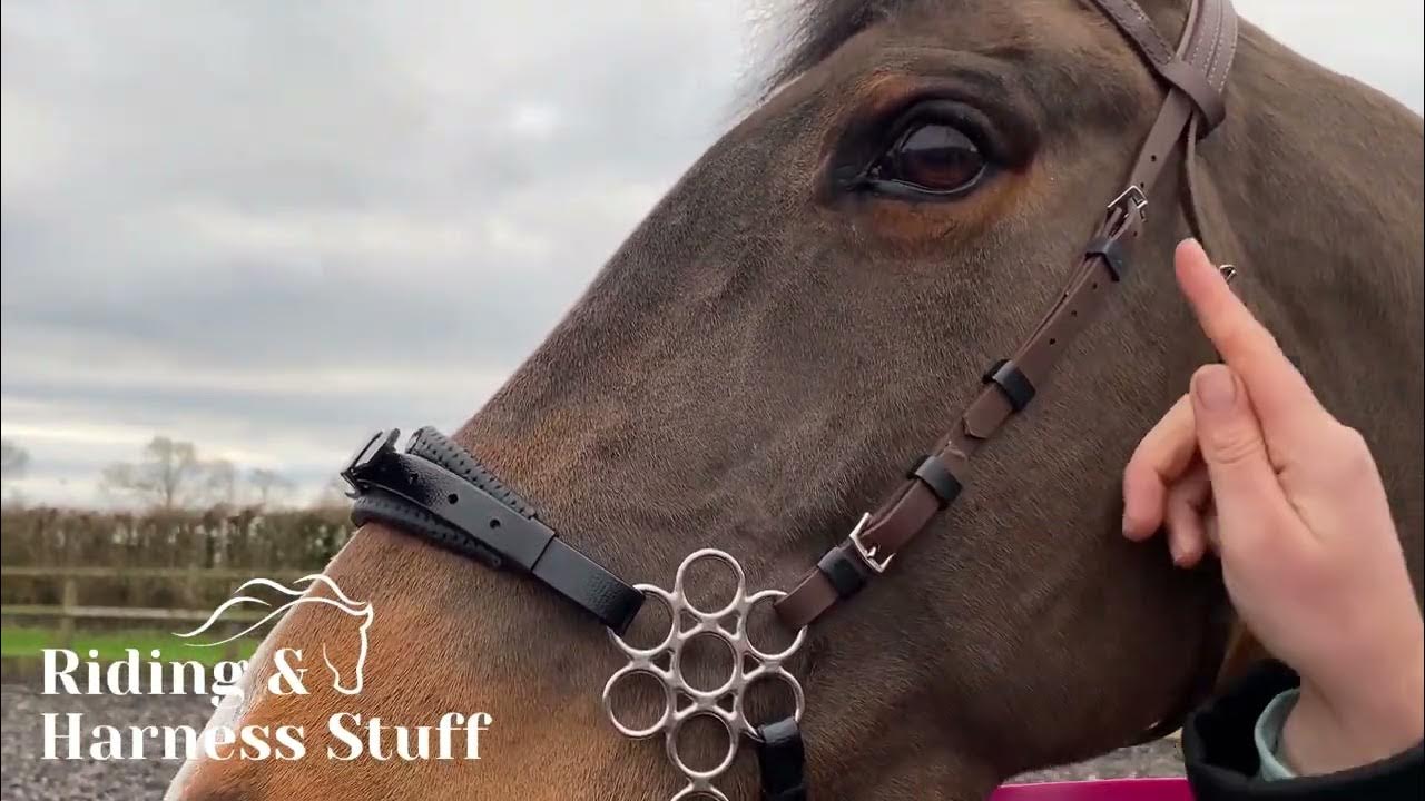 Zilco Flower Hackamore Fitting YouTube