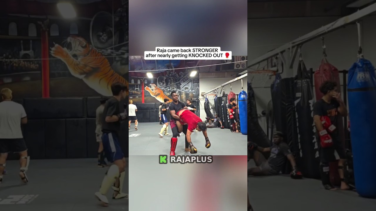 Raja came back STRONGER after nearly getting KNOCKED OUT 