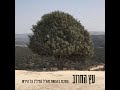 עץ החרוב - הסכת (פודקאסט) בהגשת תא"ל (מיל') גל הירש - פרק 1