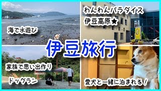 《vlog》父母娘で1泊2日の伊豆旅行！わんわんパラダイス伊豆高原の旅