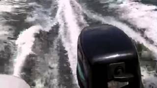 Inflatable rib