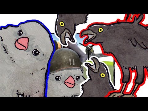 the-real-best-battlefield-(annoyed-bird-meme)