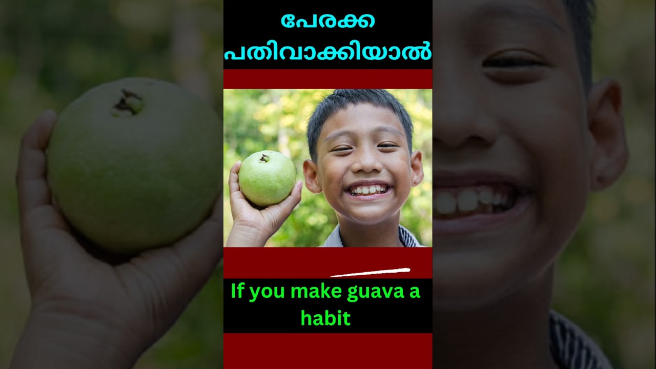 പേരക്ക | perakka malayalam health tips