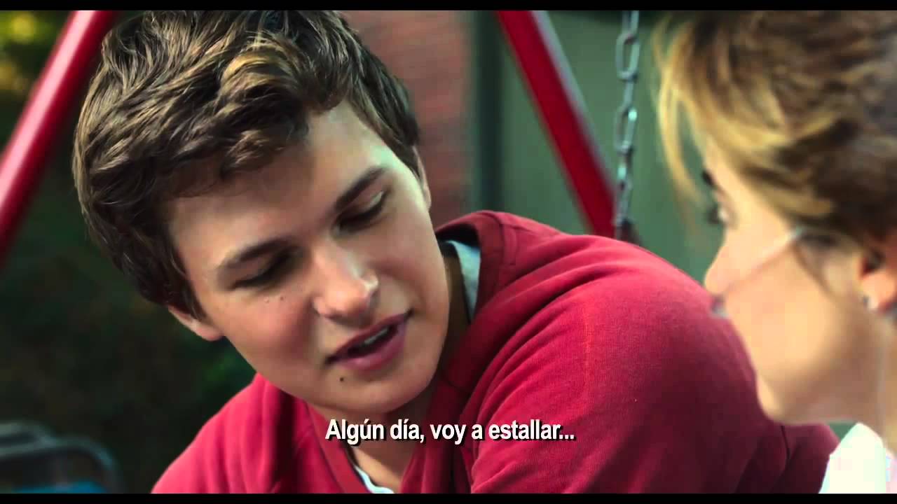 Bajo La Misma Estrella Pelicula Completa En Español