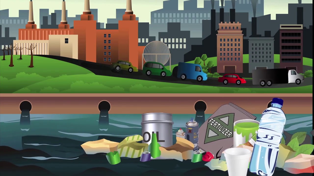 Help Save the Oceans, Rivers and Lakes with The Beach Boys!