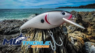 Killalure Jewie 150, Jewfish off the stones... screenshot 5