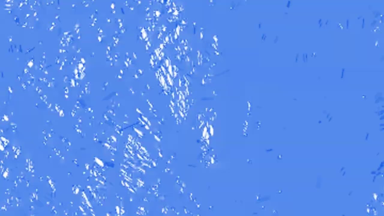 Ammonite - ARP (Lapalace Remix) (Official Visual) [Ransom Note Records]