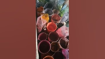 Dyeing process  #dupatta #dyeing #online