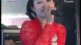 NEW ARWANA CAMPURSARI