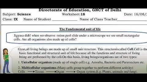 CLASS -9 SCIENCE WORKSHEET - 18 ENGLISH  MEDIUM || WORKSHEET -18 CLASS -9 SCIENCE AUGUST -16 ||