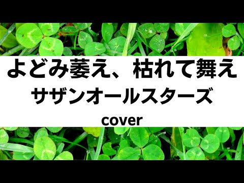 サザンオールスターズ:よどみ萎え、枯れて舞え(Cover)