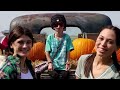 Living With Progeria | BORN DIFFERENT