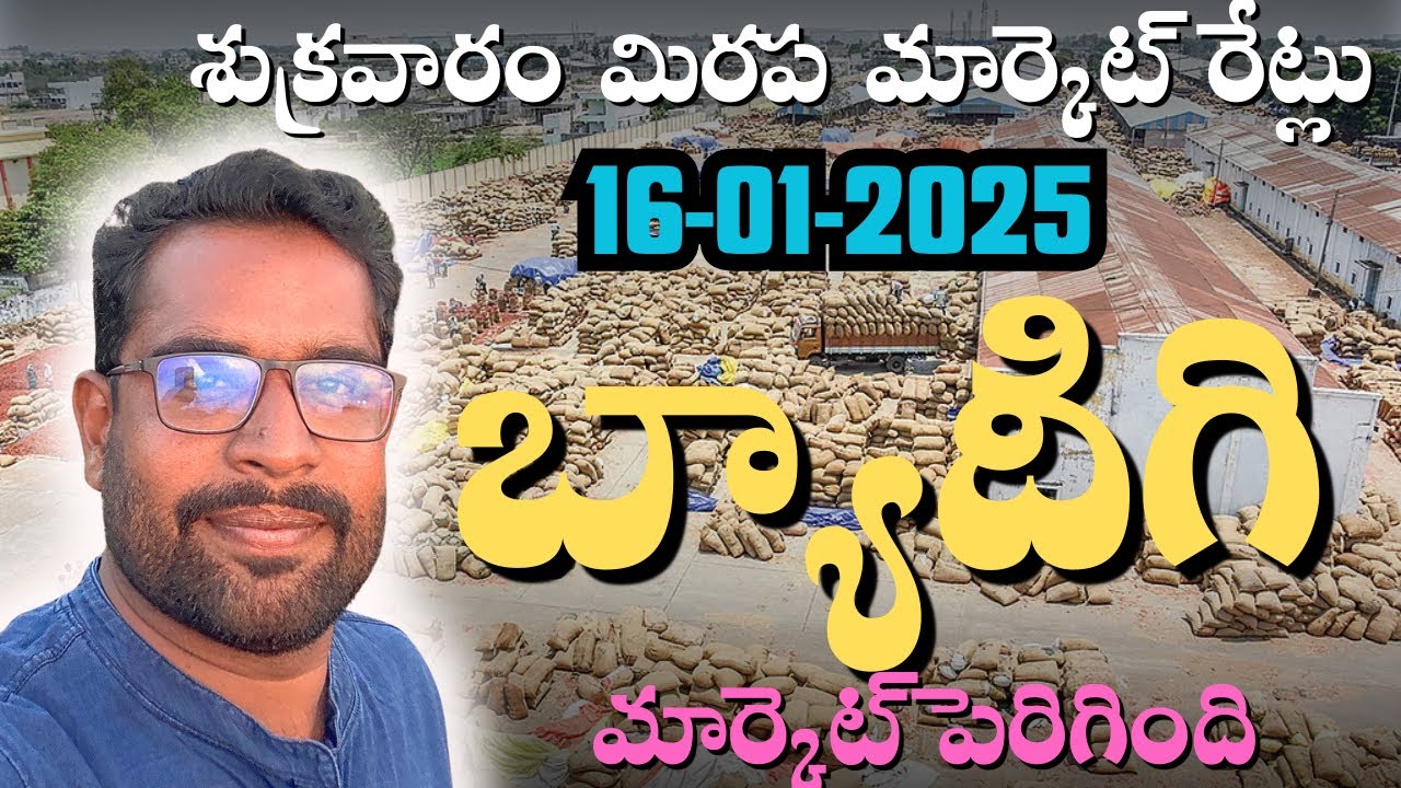 16-01-2026 బ్యాడిగి మిరప రేట్లు 🌶️ | Today Byadigi Chilli Marke| 