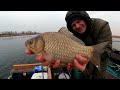 Килограммовый карась на мотыля с перцем 🎣