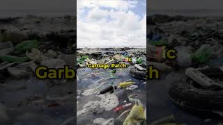 Great Pacific Garbage Patch #tiktok #shorts #short #pollution #plastic