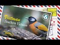 Tropical Birding Vietnam Virtual Birding with a Camera (BwC) Tour by Ken Behrens