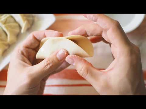 Como Preparar Gyozas