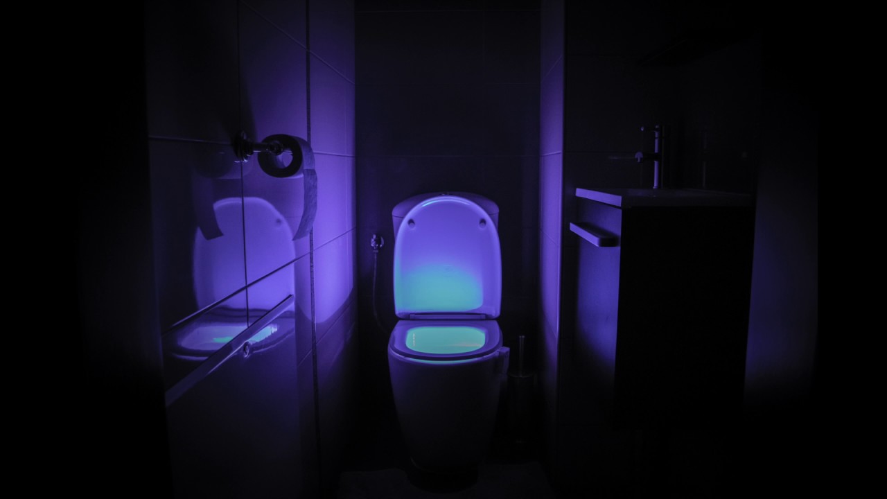 TOILET LIGHT DISCO PARTY!  Motion Toilet Light Demo 