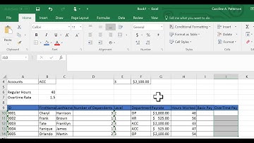 Daffodils- 2- Formatting the Daffodils spreadsheet.