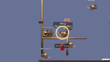 TRANSFORMICE - FLY HACK 2017