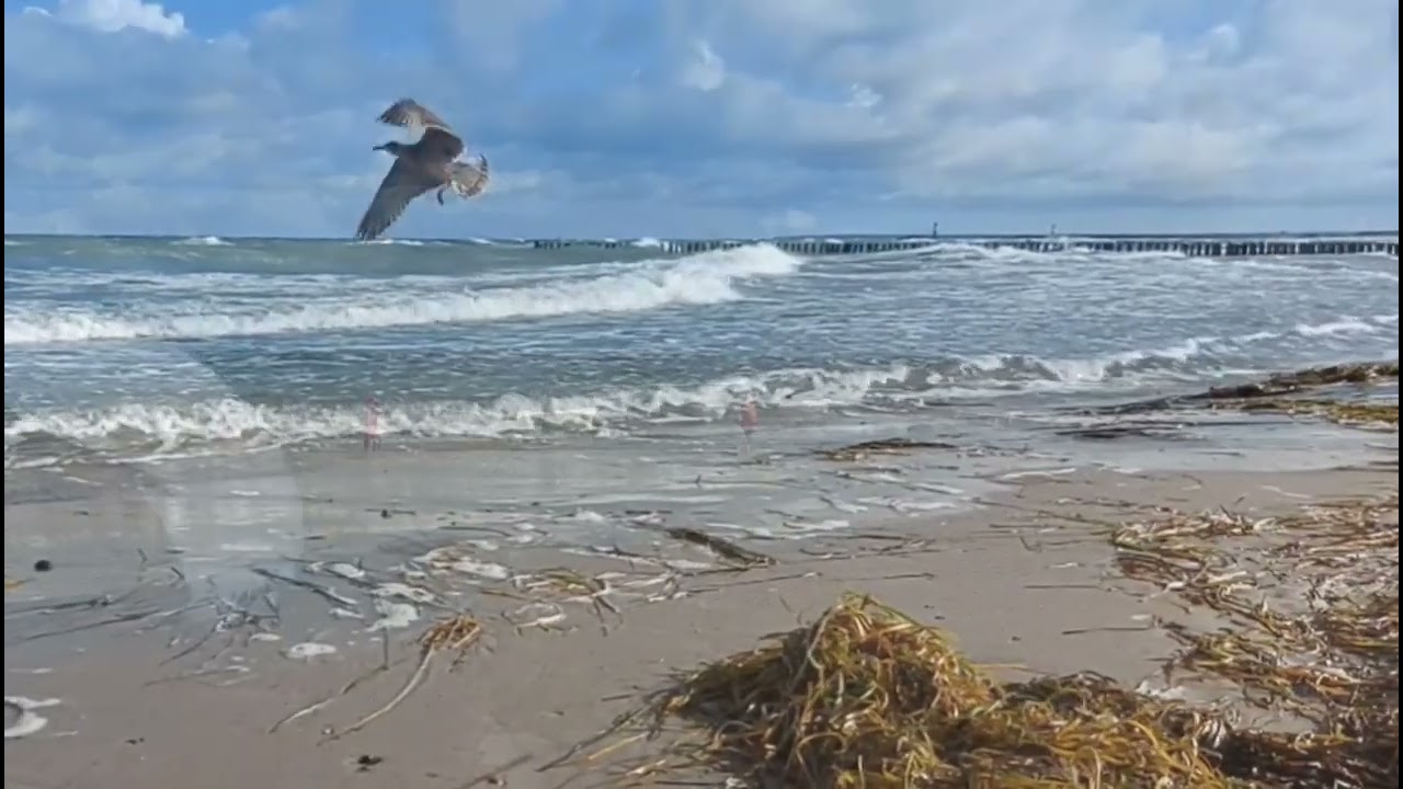 Warnemünde  - Stürmische Ostsee