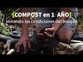 COMPOST en CASA 🤟 sin picar y sin máquinas.