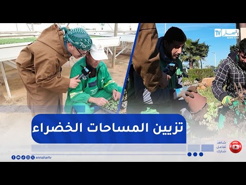 النوي يرصد كواليس تنمية وتطوير المساحات الخضراء في العاصمة من المشتلة إلى التزيين