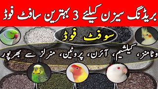 Birds Breeding Season Soft Food | Best Soft Food for Java and Love Birds | Mini Zoo