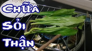 Sỏi Thận nhiều đến mấy cũng hết sạch chỉ với 1 nắm rau Mùi Tàu [cách chữa bệnh sỏi thận]