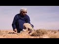 الوسمي مقناصكم ياسيدي النسخة الأصلية نجوم HD قناة نجوم 