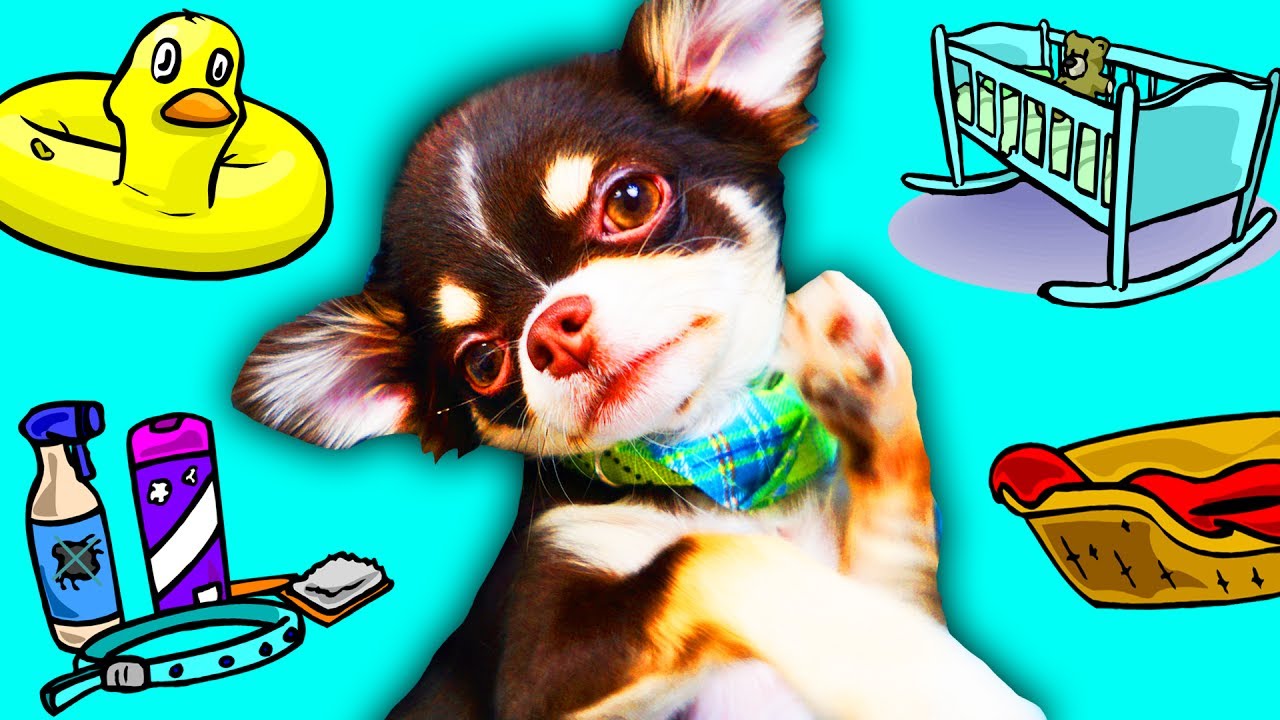 Картинки юми чу