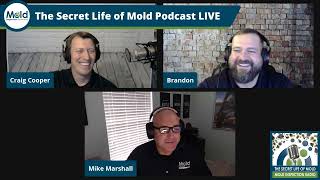 Are You Mold Sample Savvy? – Mold Sampling Series Part 1
